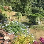 アパート New Penthouse - Cinque Terre, Tuscany, Liguria, #4
