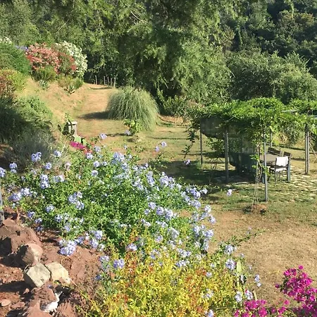 Apartamento New Penthouse - Cinque Terre, Tuscany, Liguria, #4