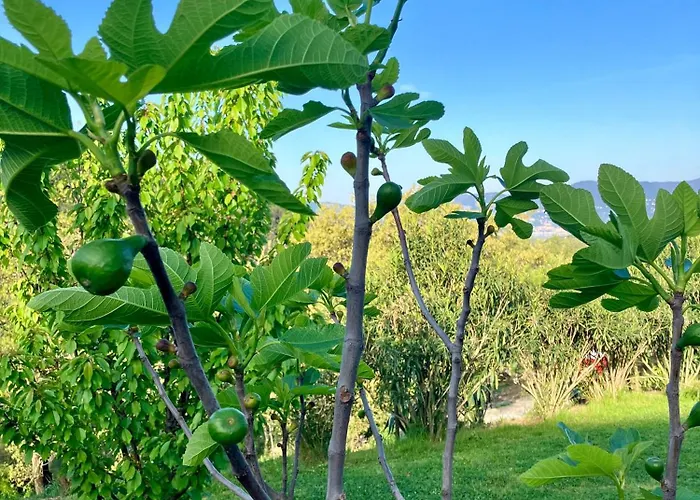 New Penthouse - Cinque Terre, Tuscany, Liguria, #4 * Lerici
